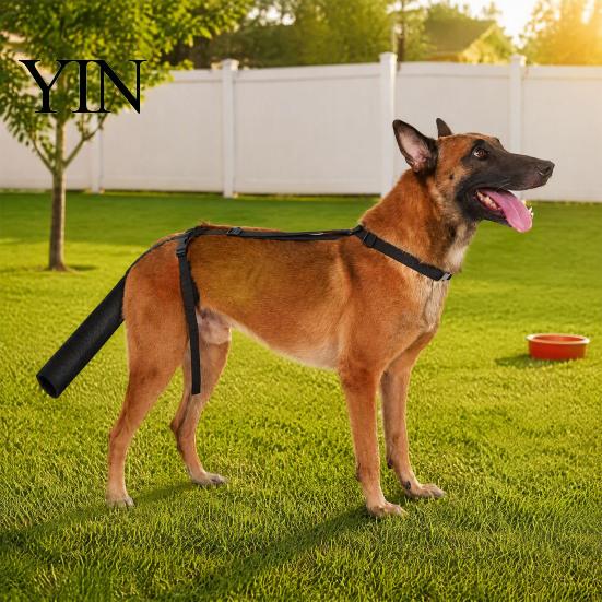 Outdoor Dog Tail Protection Protector, Breathable Pet Wrap, Adjustable Harness Easy Wash Brace with Guard for Dogs Wound Injury Recovery Safe Sleeve