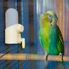 250ml Birds Water Dispenser Silent Pet Birds Water Bottle Birds Water Feeder  for Parrots