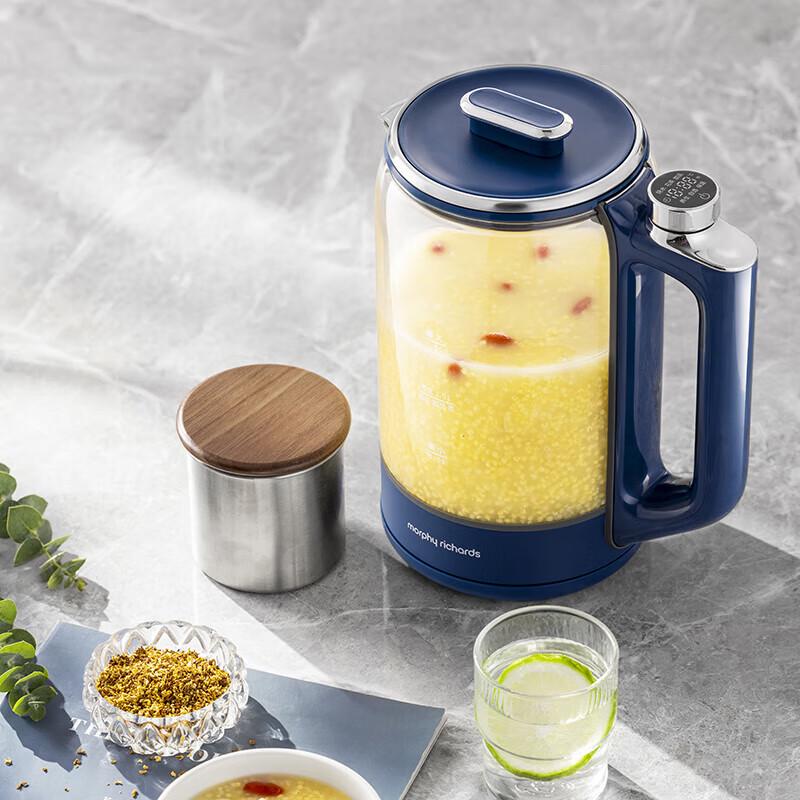 Morphy Richards MR6089 1,5L Elektrischer Gesundheitswasserkocher