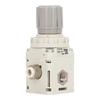 Pneumatic Vacuum Pressure Regulator, High Adjustment, Portable Design for Pressure Sensitive Applications, Finish, Easy Self-Locking Design
