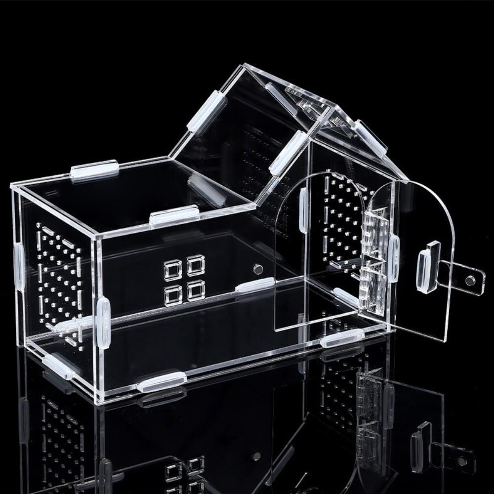 New Acrylic Reptile Habitat Anti-Escape Ventilated Spider Feeding Case Arboreal Clear Tarantula Enclosure Small Pet Supplies