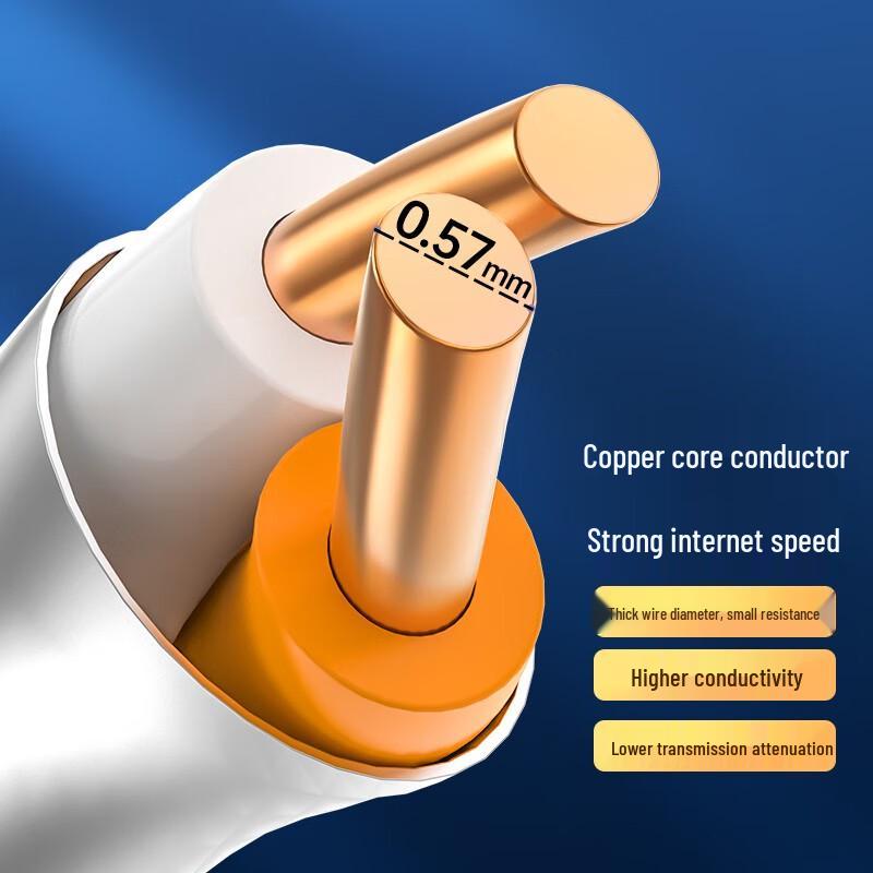 

Choseal Cat6A Double Shielded Pure Copper Ethernet Cable 40m