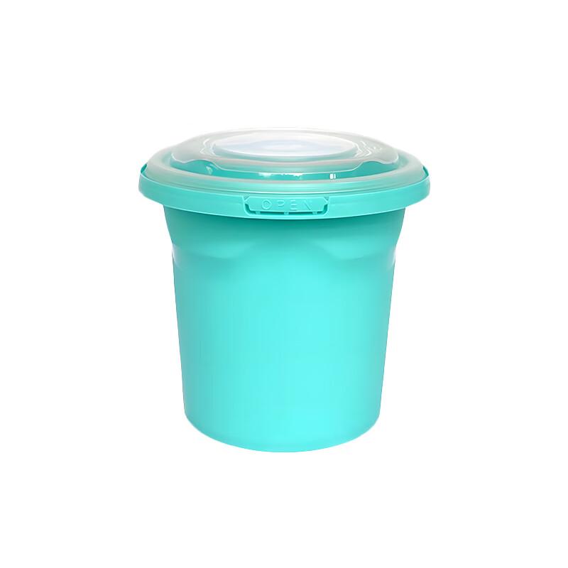 Disposable Food Containers with Locking Lids