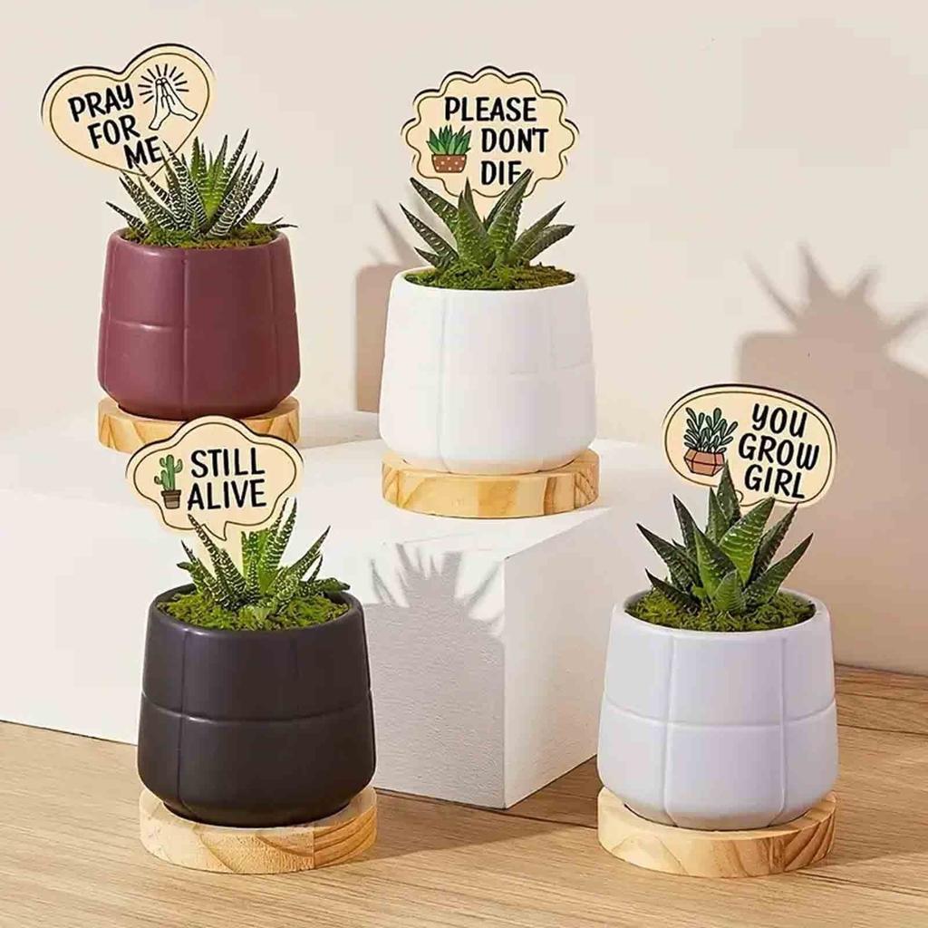 15 Wooden Plant Labels With Slogans, T-shaped Wooden Plant  Labels, Potted Garden Labels