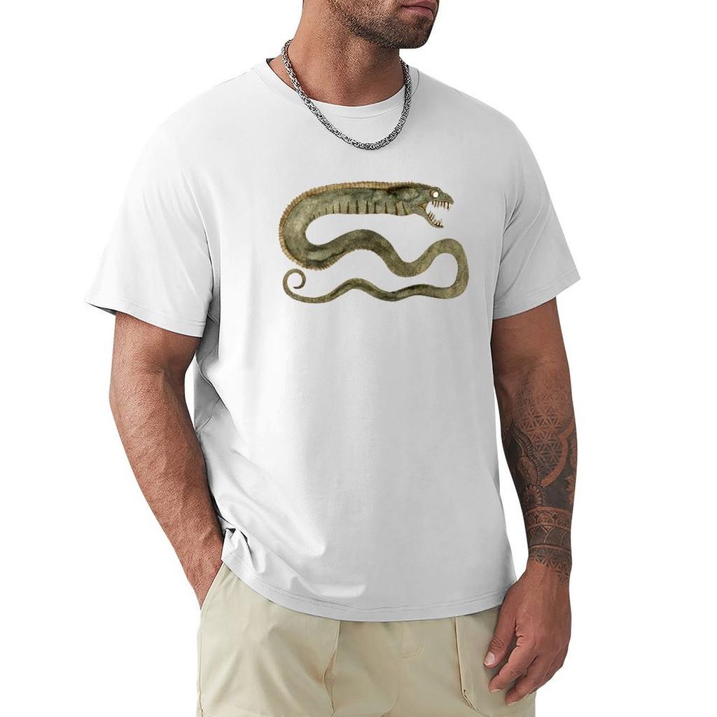 T-shirt Serpente Casual Vestibilità Larga T-shirt Estiva
