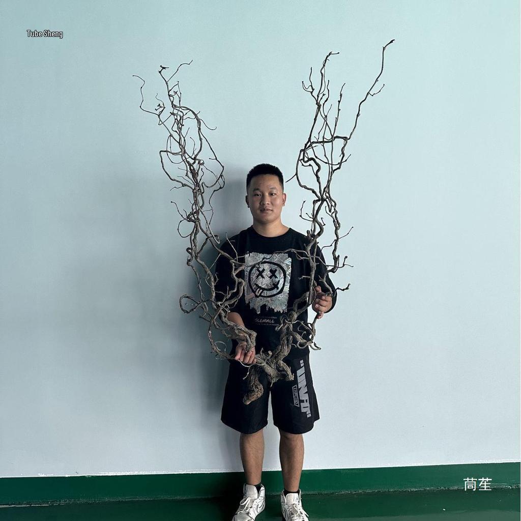 Asian-Inspired Floral Arrangement: Withered Jujube Branches for Home, Hotel, or B&B Decor