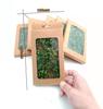 Realistic Miniature Vines Simulation Vine for DIY Mini Model Railroad Fairy Garden Architecture Scenery Landscape Layout