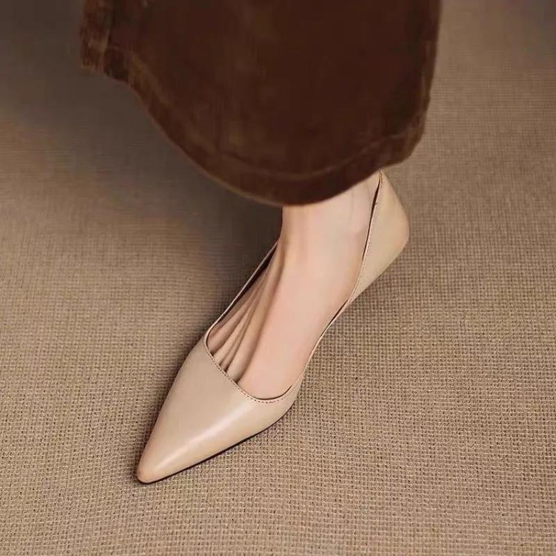 2026 Spring/Summer New French Pointed Toe Shallow Single Shoes Feminine Commuter High Heels