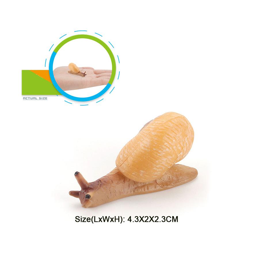 Realistic Life Cycle Of A Snail Model Figure Snail Figurine Party Favors Supplies Cake Toppers Desktop Decoration Collection Toy
