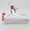 Mercury Home Textiles Summer Cooling Quilt