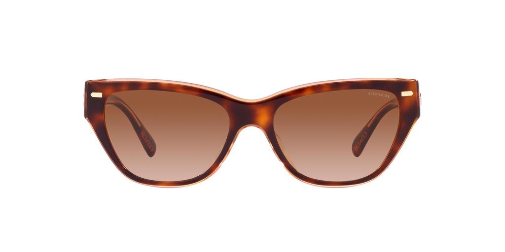 Sunglasses HC8370F CH660 PINK PINK GRADIENT Lens 56 [Coach] TORTOISE/TRANSPARENT Frame/BROWN