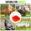5pcs Automatic Drinking Bowl Goose Duck Chicken Water Cup Waterer Bowl Farm Poultry Waterer Drinking Bowls Water Dispenser