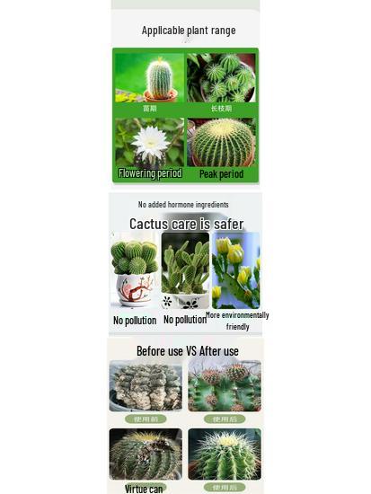 Cactus & Bonsai Organic Root & Flower Fertilizer - Slow-Release Nutrient Soil Enhancer