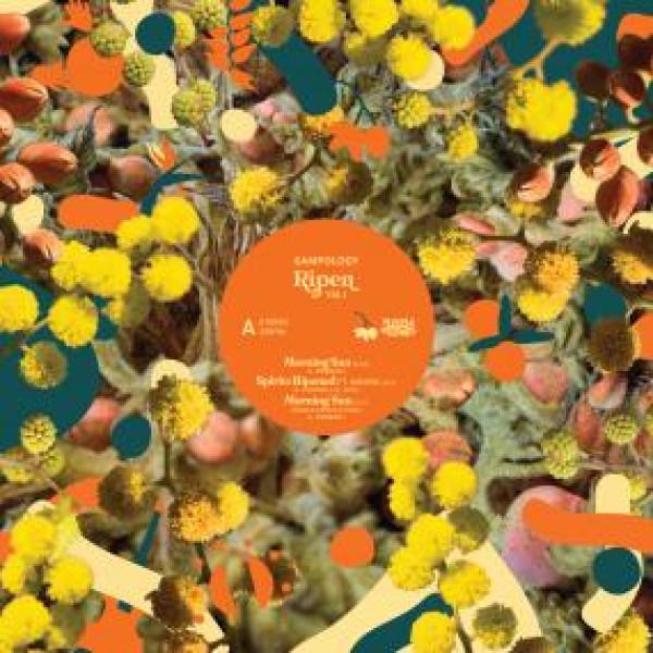 LP Record SAMPOLOGY - Ripen Volume 1 MNR008 Middle Name Rec 2025 Australia Dance & Electronica