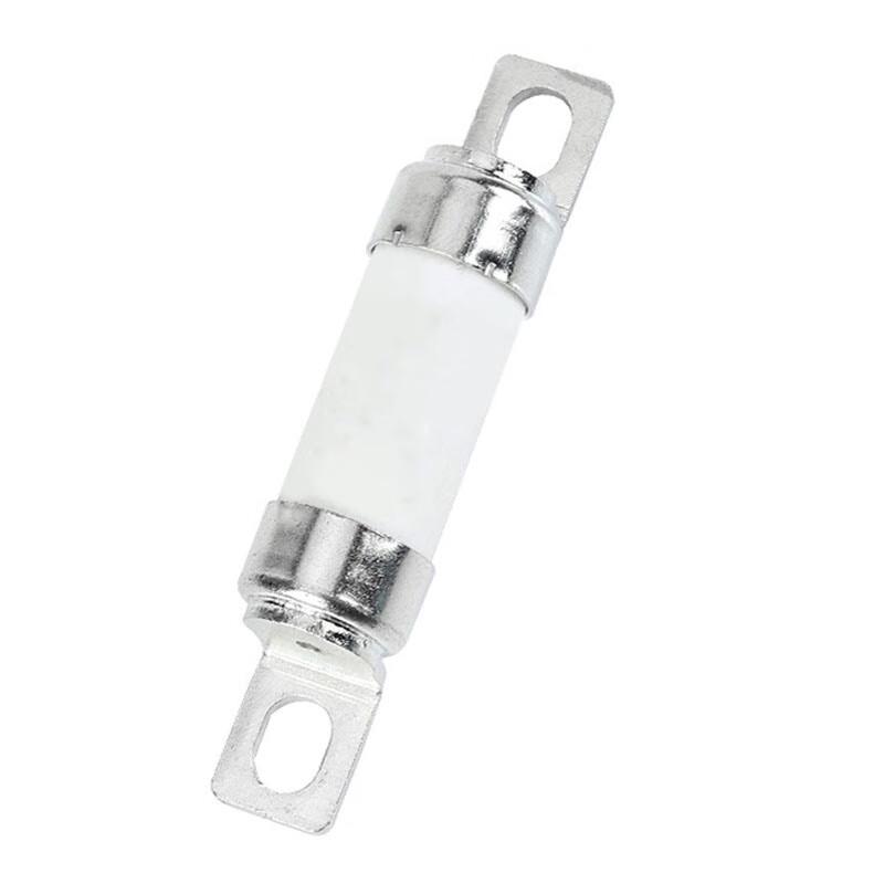 Jueceng RGS4 Fast Acting Fuse