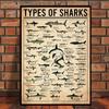 Retro Types of Dragon,Sharks,Octopus,Dinosaur Animals Knowledge Poster Canvas Painting Wall Art Pictures Home School Decor