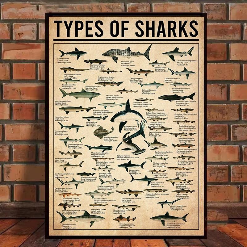 Retro Types of Dragon,Sharks,Octopus,Dinosaur Animals Knowledge Poster Canvas Painting Wall Art Pictures Home School Decor