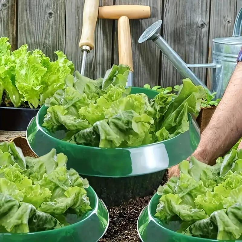 10/5/1PCS Durable Planting Protective Plastic Snail Protection Rings Plant Cover Vegetable Protective Cover Flower Pot Cover