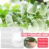 100Pcs Garden Grapes Fruit Protection Bags Cover Plant Nursery Bag Pest Control Anti-Bird Non-Woven Fabric Bag Gardening Protect