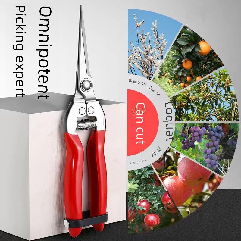 Stainless Steel Garden Pruning Shears for Thinning, Fruit Picking, and Orchard Gardening.