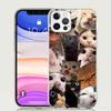 Crying Cat Memes Phone Case For iPhone 18 17 Air 16 15 Plus 11 14 Pro Max 13 Mini 12 7 8 + SE Pattern Art Customized Cover 17 Air 1