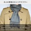 TAVARAT Cashmere Made In from Blanket Town Cashmere Men's Scarf, 100% Cashmere, Japan, Brushed, (Gray)