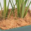 1000G Coconut Fiber Flowerpot Cover Resting Accessory Pet Bedding Comfortable Bird Cage Nest
