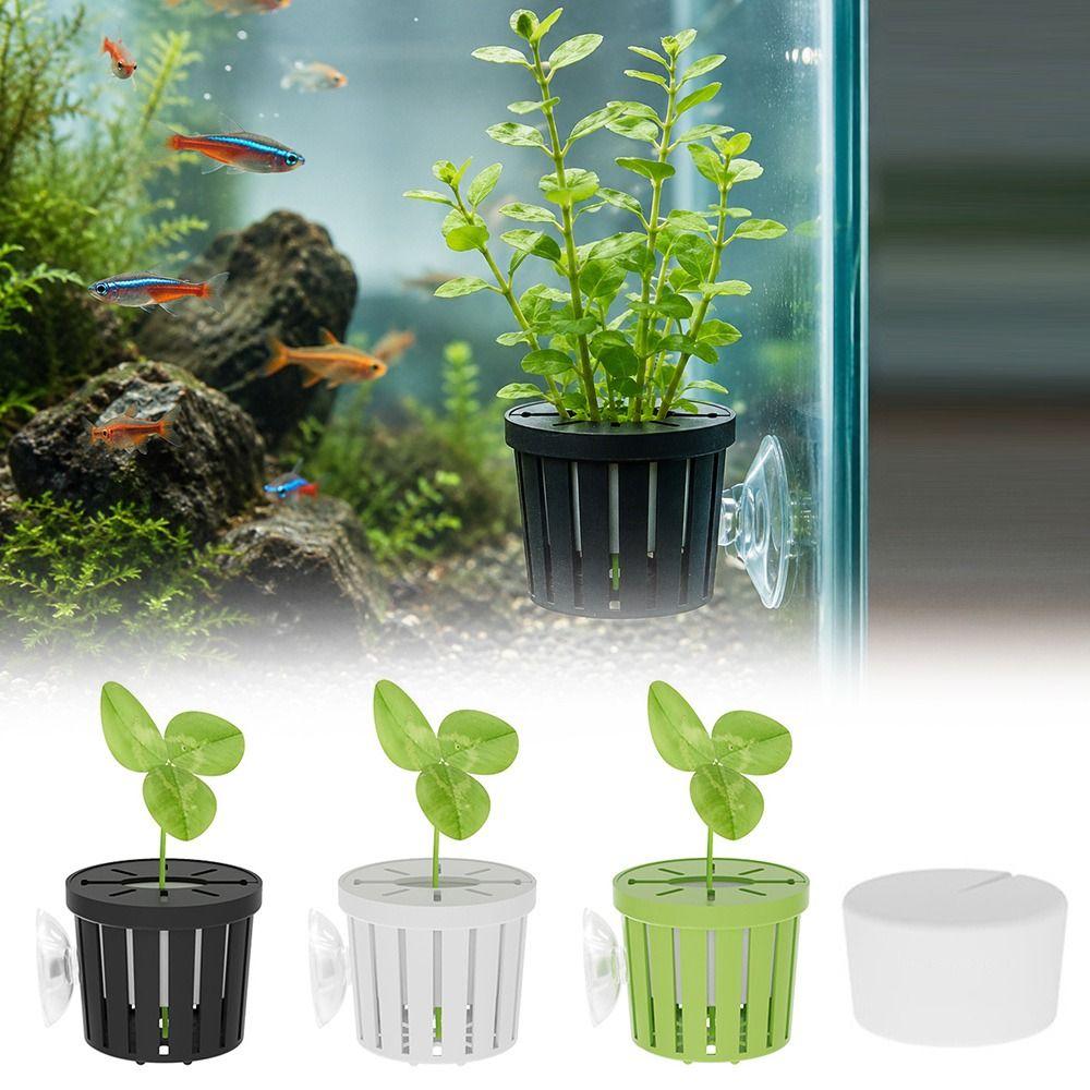 Water Plant Stand Fish Tank Hydroponic Planting Basket Planted Tank Glass Pot Hanging Aquarium Plant Holder Suction Cup Sponge