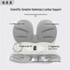 Sifeiqi Ergonomic Lumbar Support Office Seat Cushion