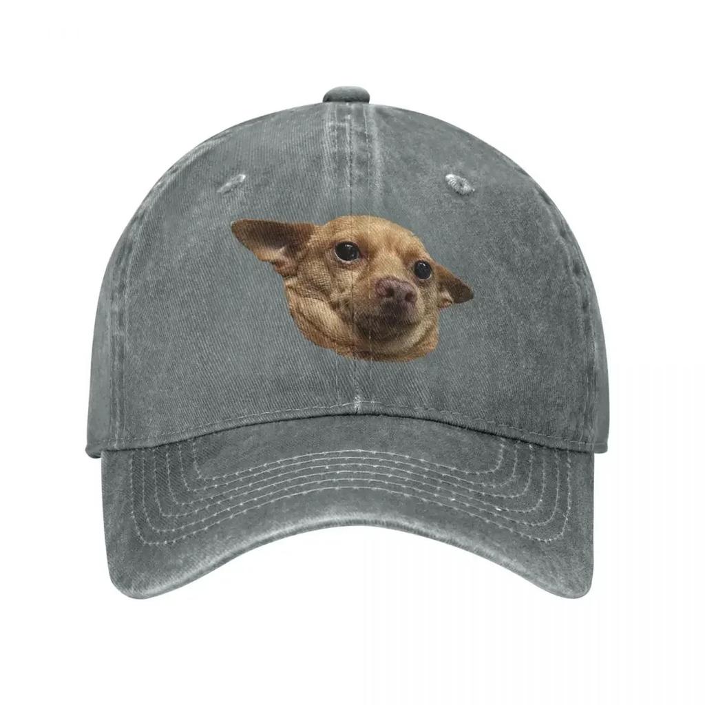 All Knowing Dog Baseball Caps Snapback Damln Fabric Hats Outdoor Adjustable Casquette Streetwear Baseball Cowboy Hat for Unisex