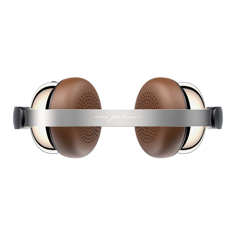 FIIO Snowsky ANYTIME from an Authorized Japanese FIIO ANC Wireless Headphones [Ships Retailer] Noise-Canceling (Black)