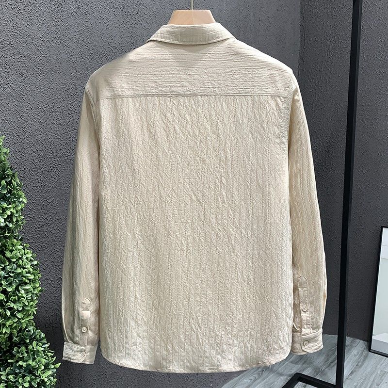 Autumn Long-sleeved Shirt Men's Light Luxury New Solid Color Simple Versatile Shirt Top