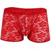 Men Hollow Lace Mesh See Through Underwear Panties