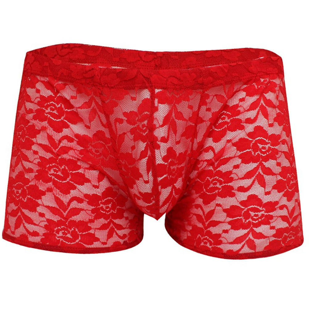 Men Hollow Lace Mesh See Through Underwear Panties