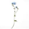Art Candle Making Natural Card Pressed Flower Don't Forget Me Forget-Me-Not with Stem Dried Flowers