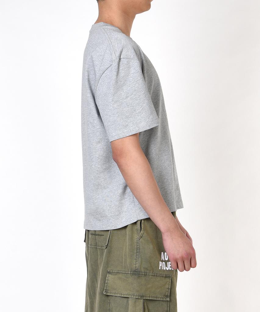 AOG PROJECT Solid Crop Short Sleeve T-Shirt (Melange Gray)