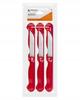 Set of 6 kitchen knives for vegetables