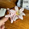 Y2K Blue Starfish Hairpin Summer Beach Vacation Hair Clip  Sweet Bangs Clip Girls Women Hair Accessories