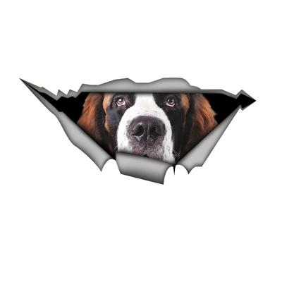 Saint Bernard Car Stickers, Waterproof Vinyl Decals, for Car Windows, Car Bumper, Car Body Decorative Accessories