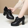 British Style Deep Mouth Soft Leather Oxford Shoes Women's Platform Pumps 2026 Spring Block High Heels Shoes for Office Mom