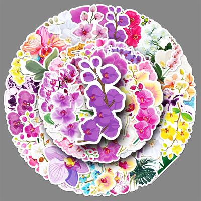 50 Samolepek Phalaenopsis Graffiti Personalizované Malé Čerstvé Rostliny Květiny Dekorace Pouzdro na Mobilní Telefon Samolepky na Kufr