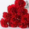 DIY Craft Artificial Red Carnations 54cm Fake Plants Simulation Carnation Flower  Garden