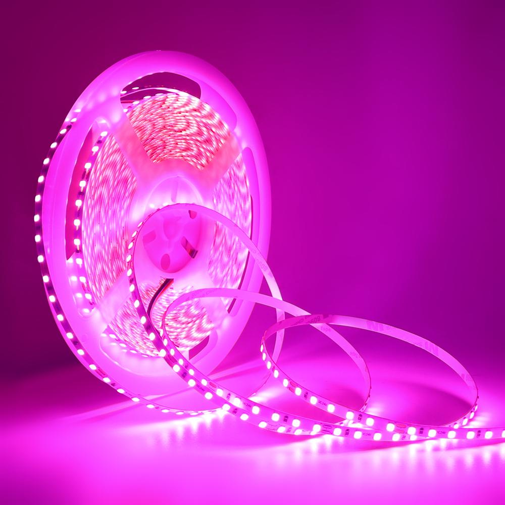 12V 24V 2835 LED Strip Light 120 LEDs/M Flexible Adhesive Non Waterproof Indoor Decoration Tape 5M 10M 13 Colors
