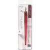 PILOT Fountain Pen Medium Iro-utsusi (mountain Grape, Nib)