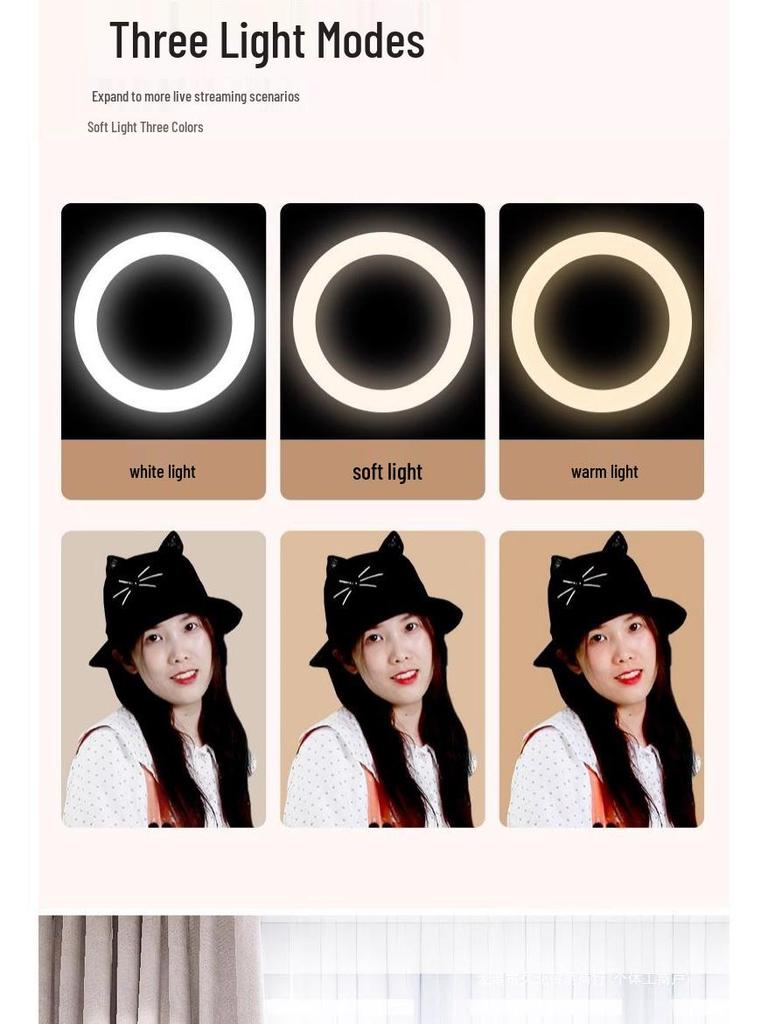 Tragbares Teleskop-Mini-Stativ: Multifunktionaler Desktop- & Bodenständer-Handyhalter für Live-Übertragungen.