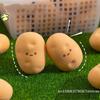 [ZYAS]New Creative Simulation Food Eraser Potato-shaped Model Children's Homework Pencil Correction Eraser Unique Funny Eraser