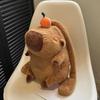 Lovely Capybara Backpack Plush Shoulder Bag School Lunch Bag for Kids Adult Daily Use Cartoon Backpack Birthday Gift