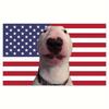 Waiter Dog Funny Tapestry  Humorous Indoor  Outdoor Wall Hanging for Room Decor Flat Print
