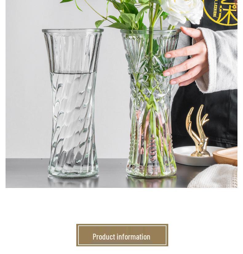 Thickened Transparent Glass Vase for Hydroponic Bamboo & Dry Flower Arrangement