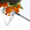 Fruit Picker Telescopic Pole Picking Apple Plum Overhead Picker